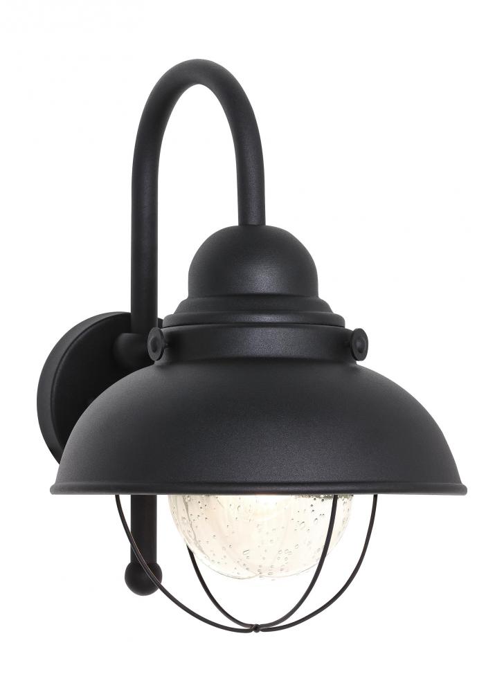 Sebring transitional 1-light LED outdoor exterior large wall lantern sconce in black finish with cle