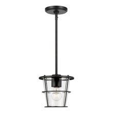 Generation Lighting - Seagull US 6001401-112 - Tex One Light Pendant