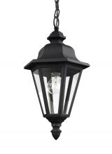 Generation Lighting - Seagull US 6025-12 - Brentwood traditional 1-light outdoor exterior ceiling hanging pendant in black finish with clear gl