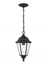 Generation Lighting - Seagull US 60938-12 - Bakersville traditional 1-light outdoor exterior pendant in black finish with clear beveled glass pa