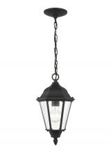 Generation Lighting - Seagull US 60938-12 - Bakersville traditional 1-light outdoor exterior pendant in black finish with clear beveled glass pa