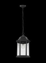 Generation Lighting - Seagull US 6238701-12 - Sevier traditional 1-light outdoor exterior ceiling hanging pendant in black finish with clear glass