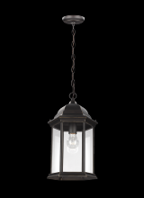 Generation Lighting - Seagull US 6238701-71 - Sevier traditional 1-light outdoor exterior ceiling hanging pendant in antique bronze finish with cl