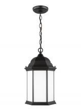 Generation Lighting - Seagull US 6238751-12 - Sevier traditional 1-light outdoor exterior ceiling hanging pendant in black finish with satin etche