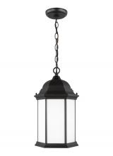 Generation Lighting - Seagull US 6238751EN3-12 - Sevier traditional 1-light LED outdoor exterior ceiling hanging pendant in black finish with satin e