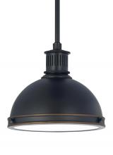 Generation Lighting - Seagull US 65085EN3-715 - One Light Pendant