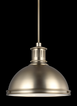 Generation Lighting - Seagull US 65087EN3-848 - Three Light Pendant