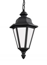 Generation Lighting - Seagull US 69025EN3-12 - Brentwood traditional 1-light LED outdoor exterior ceiling hanging pendant in black finish with smoo