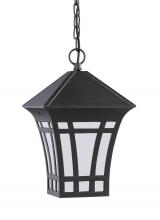 Generation Lighting - Seagull US 69131-12 - Herrington transitional 1-light outdoor exterior hanging ceiling pendant in black finish with etched