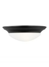 Generation Lighting - Seagull US 75434EN3-112 - One Light Ceiling Flush Mount