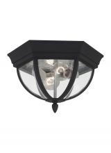Generation Lighting - Seagull US 78136-12 - Wynfield traditional 2-light outdoor exterior ceiling ceiling flush mount in black finish with clear