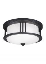 Generation Lighting - Seagull US 7847902-12 - Crowell contemporary 2-light outdoor exterior ceiling flush mount in black finish with satin etched