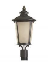 Generation Lighting - Seagull US 82240-780 - Cape May traditional 1-light outdoor exterior post lantern in burled iron grey finish with etched li
