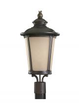 Generation Lighting - Seagull US 82240EN3-780 - Cape May traditional 1-light LED outdoor exterior post lantern in burled iron grey finish with etche