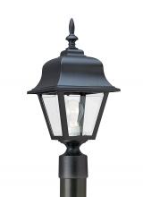Generation Lighting - Seagull US 8255-12 - Polycarbonate Outdoor traditional 1-light outdoor exterior medium post lantern in black finish with