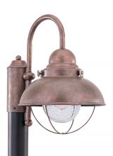 Generation Lighting - Seagull US 8269-44 - Sebring transitional 1-light outdoor exterior post lantern in weathered copper finish with clear see