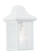 Generation Lighting - Seagull US 8588-15 - Mullberry Hill traditional 1-light outdoor exterior wall lantern sconce in white finish with clear b