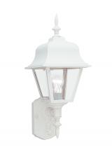 Generation Lighting - Seagull US 8765-15 - Polycarbonate Outdoor traditional 1-light outdoor exterior large wall lantern sconce in white finish