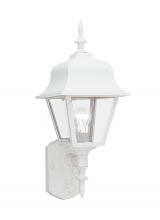 Generation Lighting - Seagull US 8765-15 - Polycarbonate Outdoor traditional 1-light outdoor exterior large wall lantern sconce in white finish