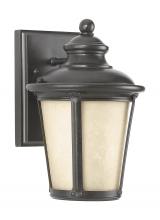 Generation Lighting - Seagull US 88240D-780 - Cape May traditional 1-light outdoor exterior small Dark Sky compliant wall lantern sconce in burled