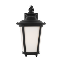 Generation Lighting - Seagull US 88241-12 - Cape May Medium One Light Outdoor Wall Lantern