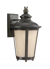 Generation Lighting - Seagull US 88241EN3-780 - Cape May traditional 1-light LED outdoor exterior medium wall lantern sconce in burled iron grey fin