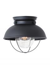 Generation Lighting - Seagull US 8869-12 - Sebring transitional 1-light outdoor exterior ceiling flush mount in black finish with clear seeded