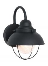 Generation Lighting - Seagull US 8870-12 - Sebring transitional 1-light outdoor exterior small wall lantern sconce in black finish with clear s