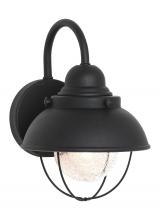 Generation Lighting - Seagull US 8870EN3-12 - Sebring transitional 1-light LED outdoor exterior small wall lantern sconce in black finish with cle