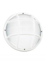 Generation Lighting - Seagull US 89807-15 - Bayside traditional 1-light outdoor exterior wall or ceiling mount in white finish with polycarbonat