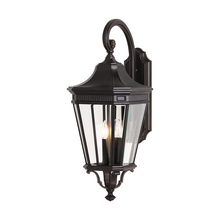 Generation Lighting - Seagull US OL5404GBZ - Large Lantern