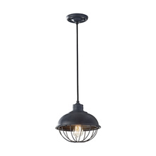 Generation Lighting - Seagull US P1242AF - Round Cage Pendant