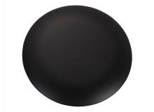 Generation Lighting - Seagull US MC360BK - Discus Blanking Plate in Black
