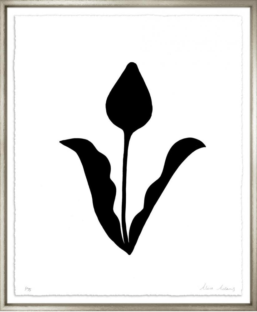 Natural Forms