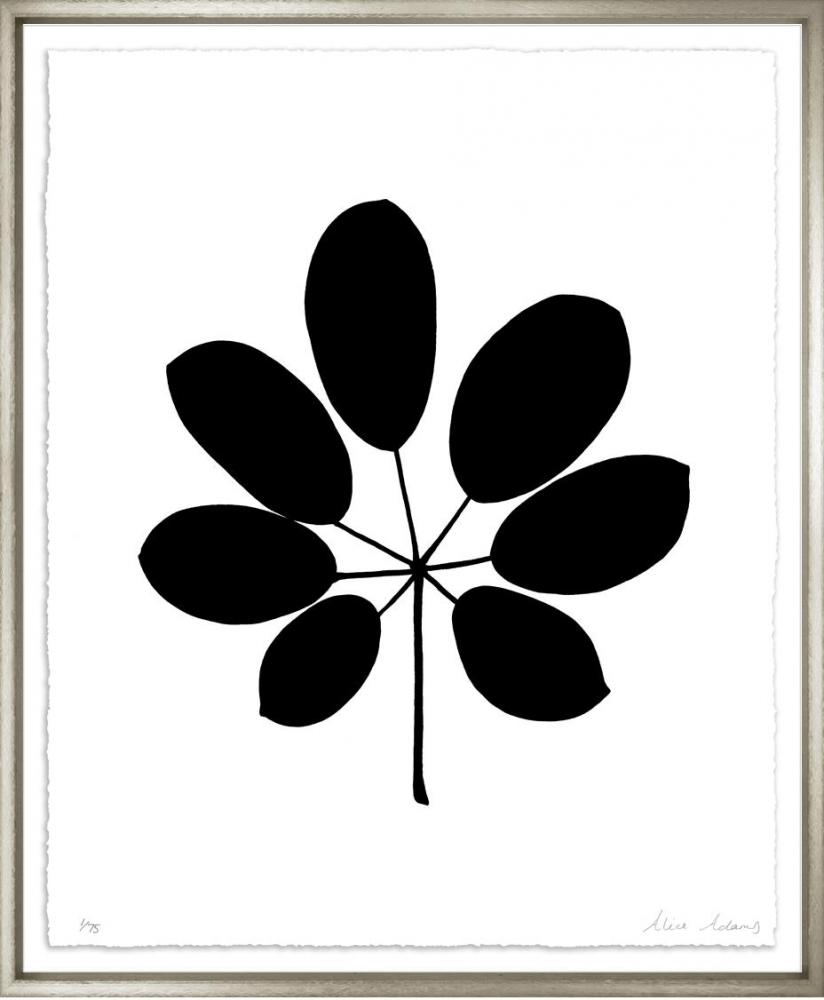 Natural Forms