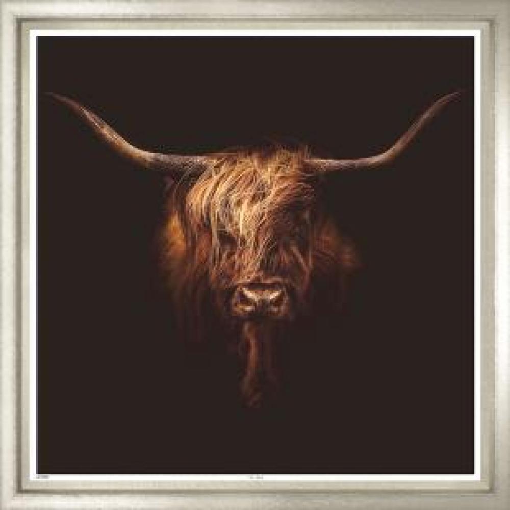 The Bull