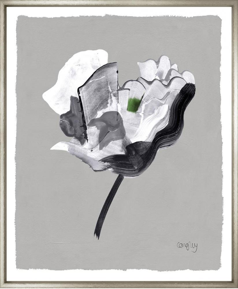 Grey Tulips