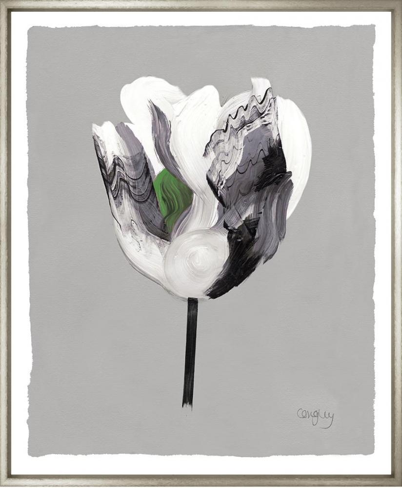 Grey Tulips