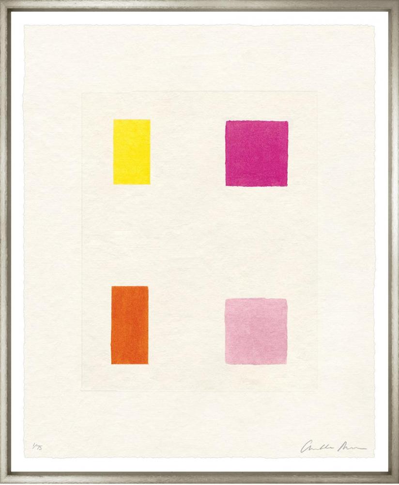 Palette Of Colour