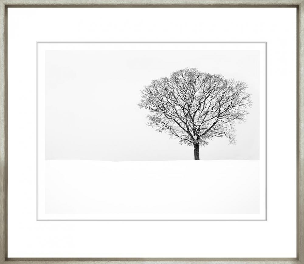 Solitude