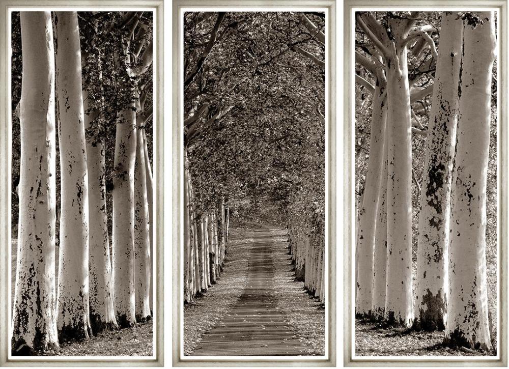 Avenue of Trees