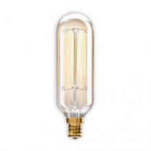 City Lights Detroit Items NOS40T8/E12 - 40W T8 NOSTALGIC THREAD E12 120V