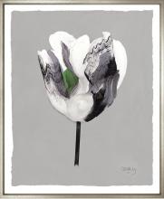 City Lights Detroit Items CLTC8 - Grey Tulips