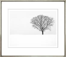 City Lights Detroit Items TG-148 - Solitude
