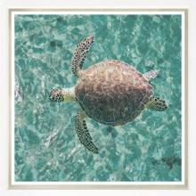 City Lights Detroit Items TS697 - Green Sea Turtle