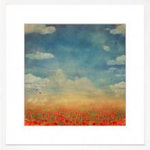 City Lights Detroit Items WS-295 - Poppy Field